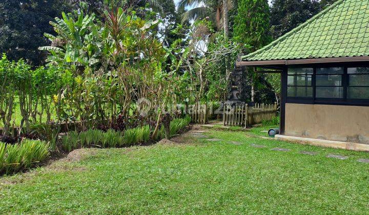 Villa Dijual, 3 Kamar Tidur, Lahan 11.100m2, Petang, Badung, Bali 8
