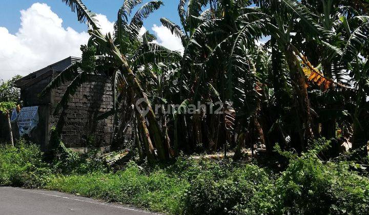 Tanah Dijual, Luas 302m2, di Jalan Dewi Sri, Legian, Kuta, Bali 4