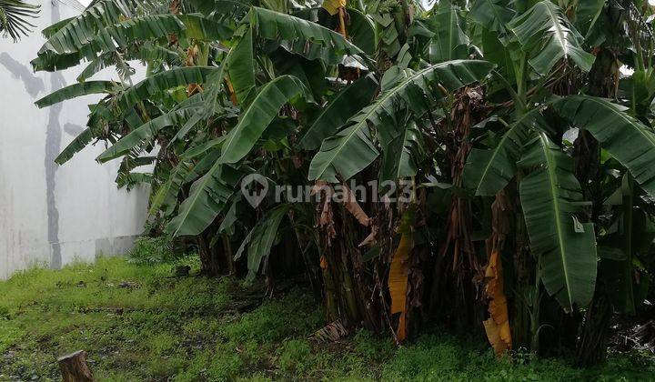 Tanah Dijual, Luas 400m2, di Jalan Dewi Sri, Legian, Bali 3