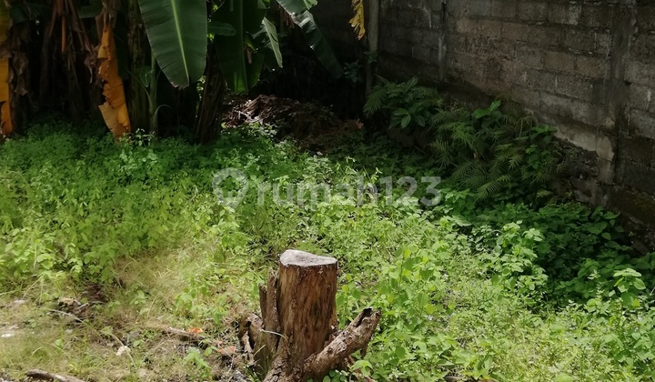 Tanah Dijual, Luas 400m2, di Jalan Dewi Sri, Legian, Bali 5