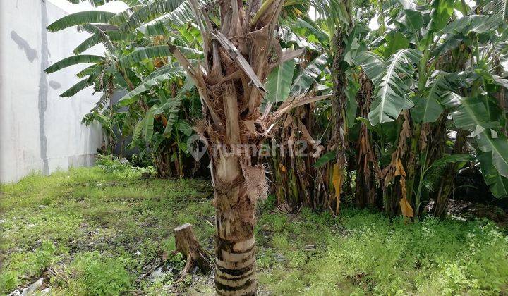 Tanah Dijual, Luas 400m2, di Jalan Dewi Sri, Legian, Bali 8