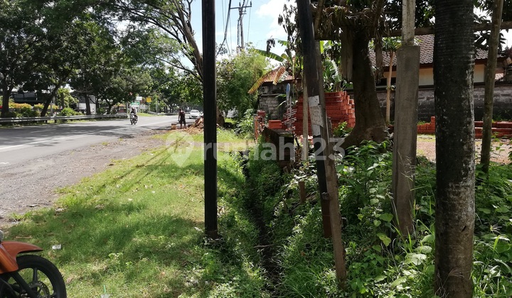 Tanah Sewa , 700m2, di Jalan By Pass I B Mantra, Ketewel, Gianyar 6