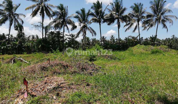 Tanah Disewakan Luas 3600m2 , di Jalan Raya Mengwi, Badung, Bali 1