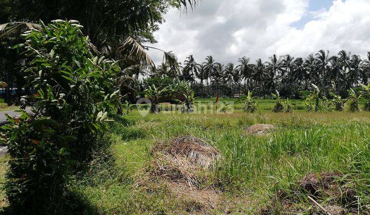 Tanah Disewakan Luas 3600m2 , di Jalan Raya Mengwi, Badung, Bali 2