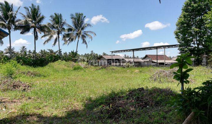 Tanah Disewakan Luas 3600m2 , di Jalan Raya Mengwi, Badung, Bali 5