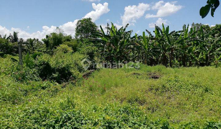 Tanah Sewa, Luas 3000m2, di Jalan Raya Mengwi, Badung, Bali 5