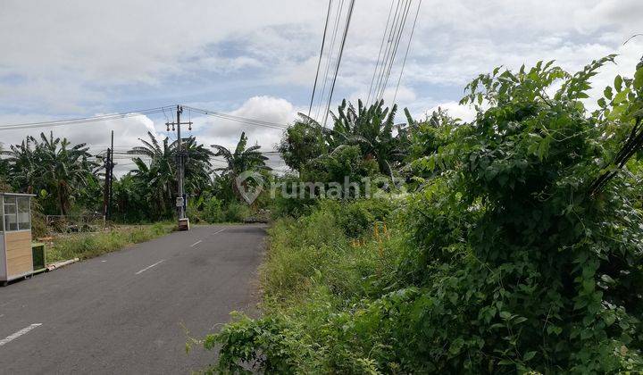 Land For Sale, 500m2, in Jalan Dewi Sri, Legian, Kuta, Bali 2