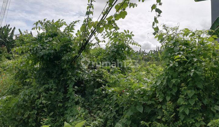 Land For Sale, Area 1000m2, in Jalan Dewi Sri, Legian, Kuta, Bali 2