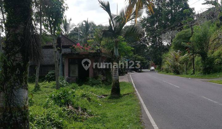 Tanah Dijual, Luas 1.430m2, di Jalan Raya Petang, Badung, Bali 2