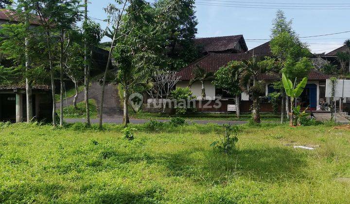 Tanah Dijual, Luas 1.430m2, di Jalan Raya Petang, Badung, Bali 1