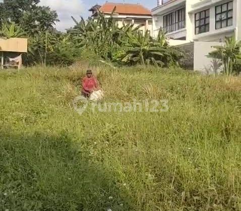 Land for rent, area 1500m2, in Canggu, Badung, Bali 2