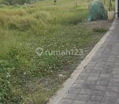 Land for rent, area 1500m2, in Canggu, Badung, Bali 1