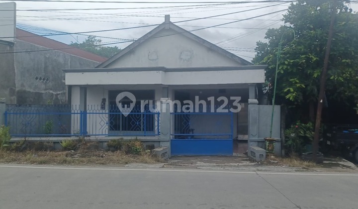 Rumah Strategis & Komersial di Pinggir Jalan Purwodadi (Grobogan) dengan Sarang Burung Sriti/ Walet