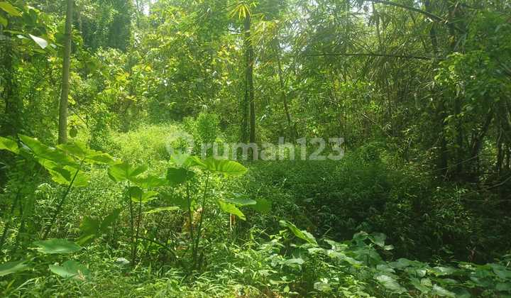 Land in Ungaran, an investment for the future. 2