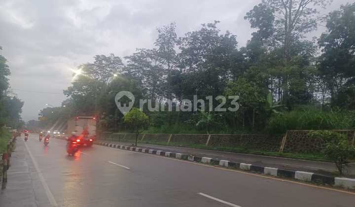 Kebon Duren di pinggir jalan Arteri Salatiga