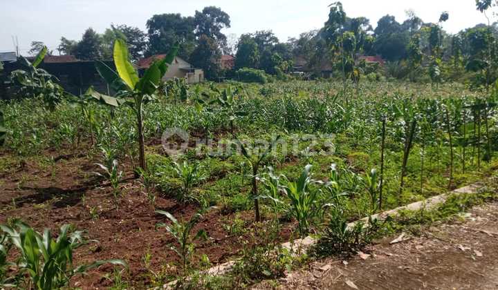 Land in Ungaran is cool, flat, and affordable, suitable for housing. Land in Ungaran is cool, flat, and affordable, suitable for housing.