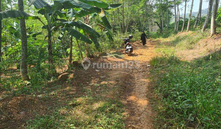 Tanah Dijual Sangat Luas Lokasi Strategis Di Pekalongan, Kajen, Jawa Tengah  2