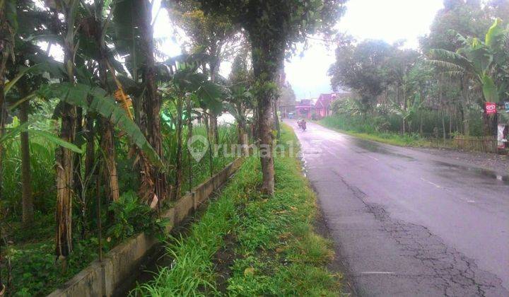 Tanah Di Nongkojajar Tutur Pasuruan 1