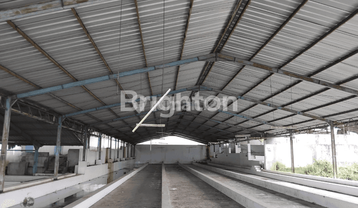 TANAH DAN BANGUNAN DI PURWONEGORO BANJARNEGARA 2