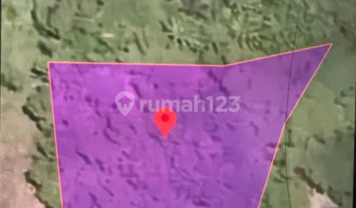 TANAH KOTAK DAN KANTONG BAGUS DI IKN NUSANTARA JALAN RAYA SEPAN KALIMANTAN TIMUR TANAH KOTAK DAN KANTONG BAGUS DI IKN NUSANTARA JALAN RAYA SEPAN KALIMANTAN TIMUR