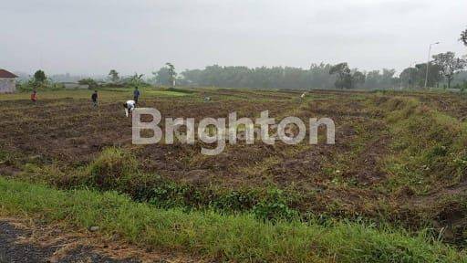 Tanah Di Desa Bakalan Kecamatan Gondang Mojokerto 1