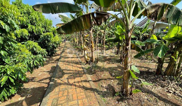 Tanah Harga Miring Cinere Raya Cocok Untuk Showroom Kantor Restoran  5