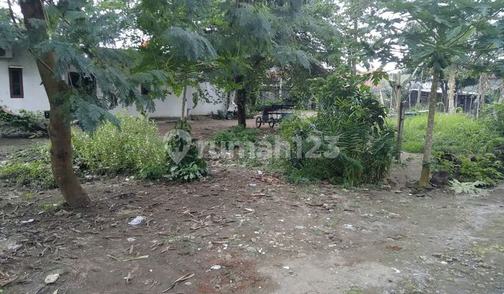 Land plot in front of Pangandaran Tourism Market. Land plot in front of Pangandaran Tourism Market.