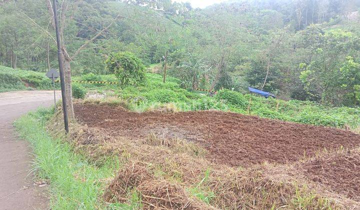 Tanah murah dekat ke Palalangon Park Gambung Ciwidey 2