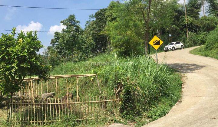 Tanah murah dekat ke Palalangon Park Gambung Ciwidey 1