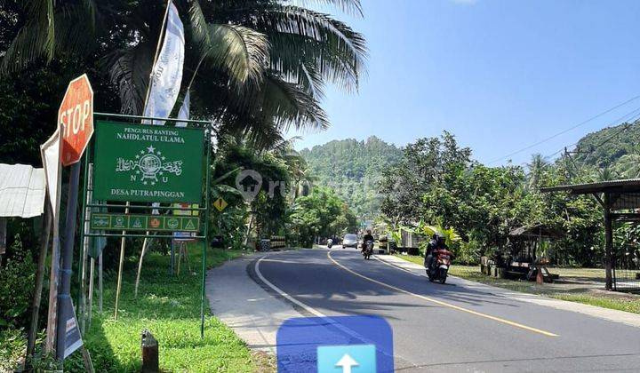 Tanah luas cocok untuk kebun atau cottage di Kab Pangandaran  1