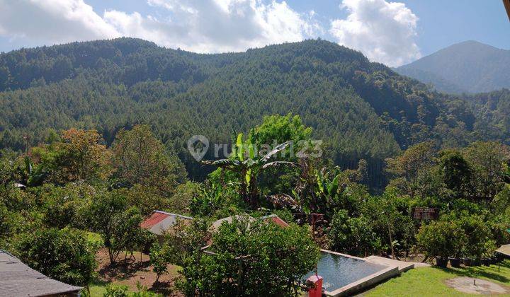 Tanah Luas Di Lembang Cocok Untuk Villa & Kebun Dapat View Indah 2