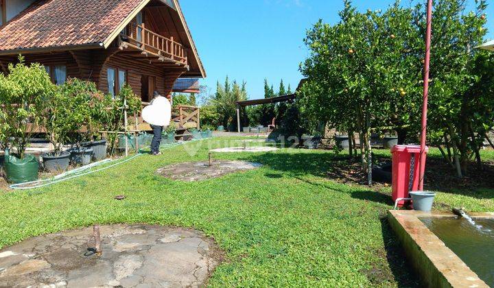 Tanah Luas Di Lembang Cocok Untuk Villa & Kebun Dapat View Indah 2