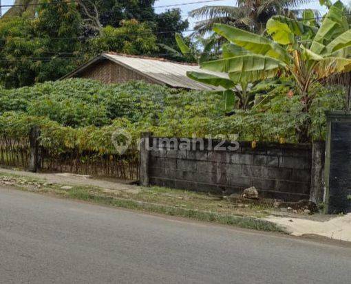 Tanah Di Mainroad Pangandaran Cocok Untuk Rumah Atau Bisnis 1