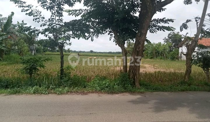 Tanah Rancah Labuh,pasar Kemis, Ls 2850m(40x72),shm, Hrg 2jt/m Tanah Rancah Labuh,pasar Kemis, Ls 2850m(40x72),shm, Hrg 2jt/m