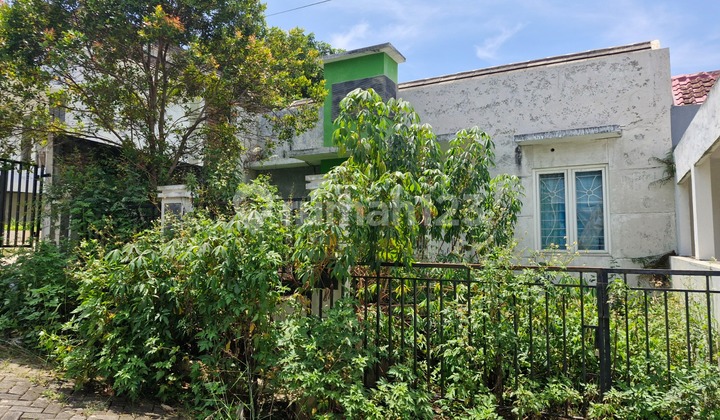 Griya Lestari Ngaliyan House