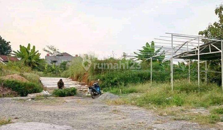 TANAH SIAP BANGUN MULAWARMAN UNDIP TEMBALANG  2