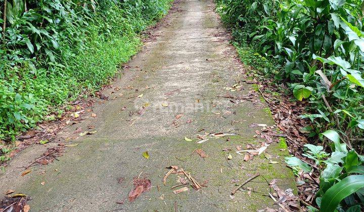 TANAH MURAH KALISIDI UNGARAN BARAT  1