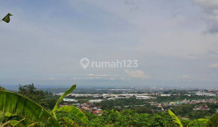 TANAH VIEW LAUT GONDORIYO RAYA NGALIYAN  1