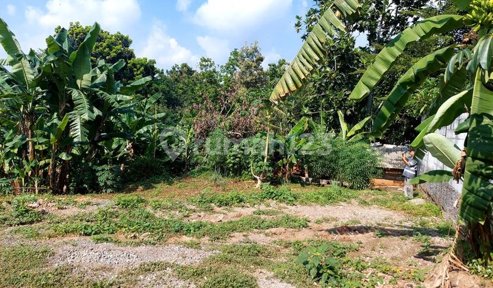 Rumah Luas 846 Di Mulawarman Tembalang  2