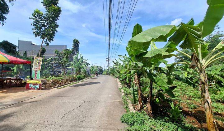 TANAH VIEW LAUT GONDORIYO RAYA NGALIYAN  2