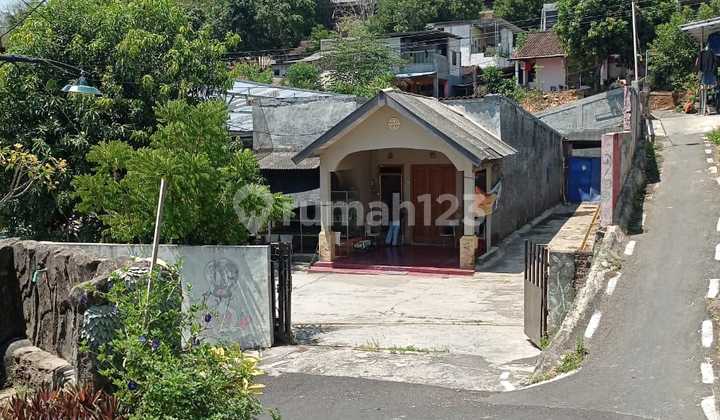 Cheap House Hook Wide 593 Meters Jangli Candisari 1