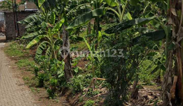 Tanah Siap Bangun Gunung Talang Bendan Duwur Gajahmungkur 1