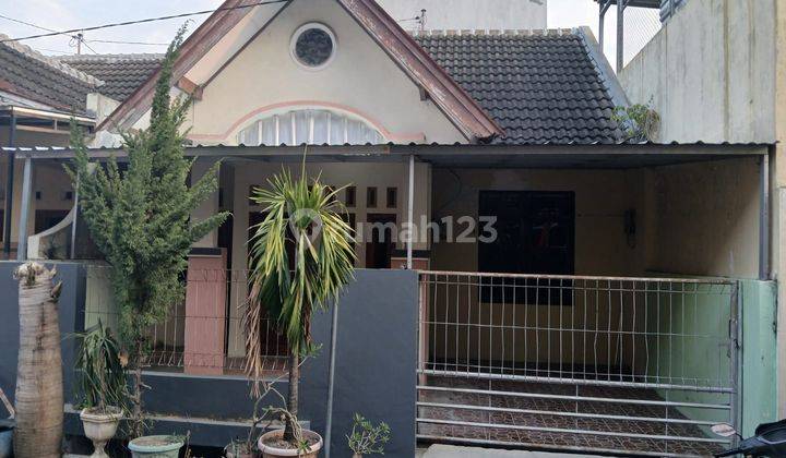 Rumah Ready Sambiroto Baru Unimus Kedungmundu  1