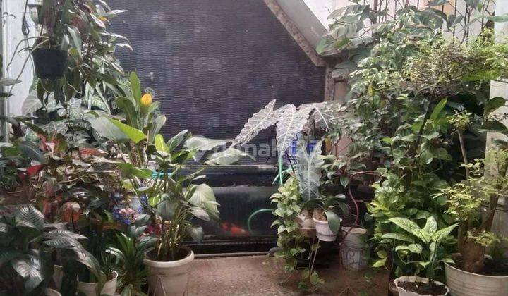 Rumah Plus Kost Di Sumurboto Undip Tembalang  2