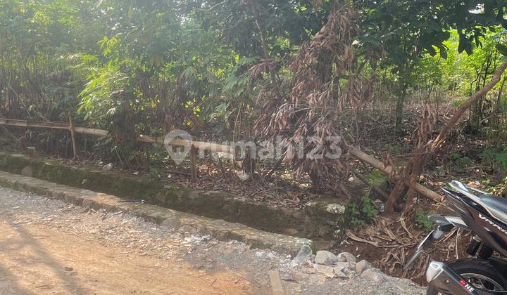 Tanah Strategis Mulawarman Timur Undip Tembalang  2