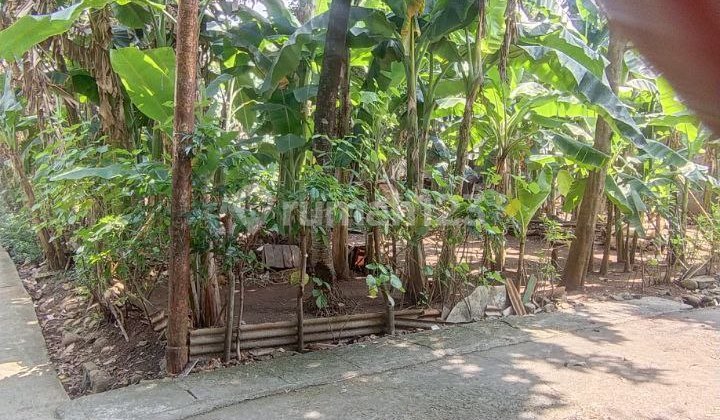 Dijual Tanah Murah Dan Luas Di Wibawa Mukti Jati Asih Dkt Spbu