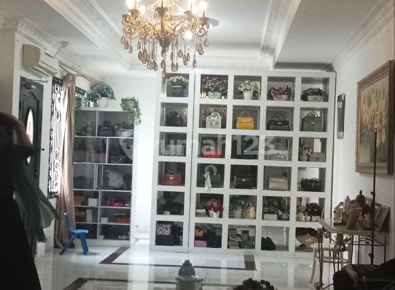 Rumah Mewah Plus Kolam Renang Dkt Mall Cempaka Mas Jakarta Pusat 2