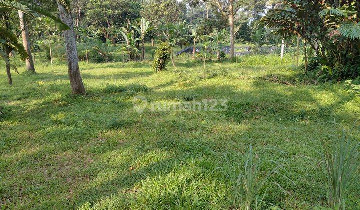 Tanah Ciawi, Bogor 33000 m2 1