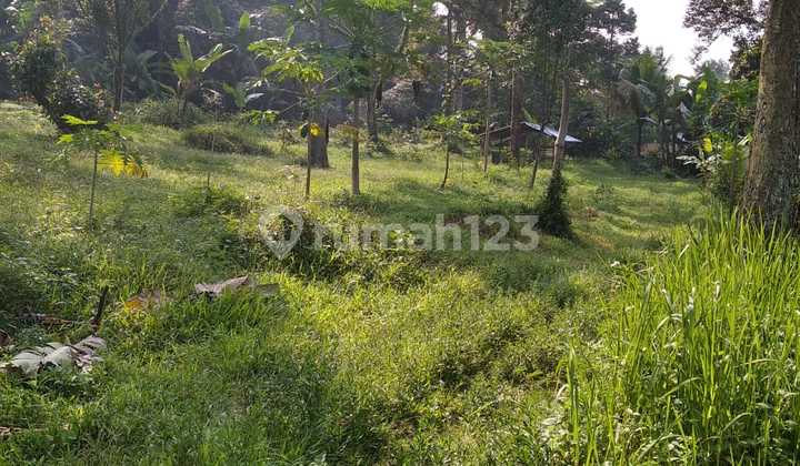 Tanah Ciawi, Bogor 33000 m2 2