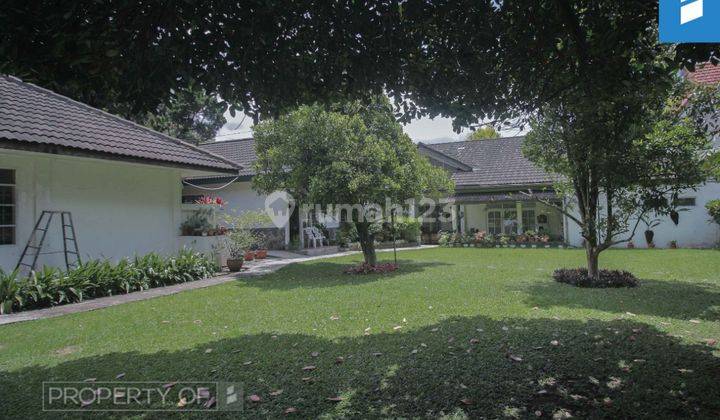 Rumah Tempo Dulu Cantik SHM di Sayap Dago Bandung 1